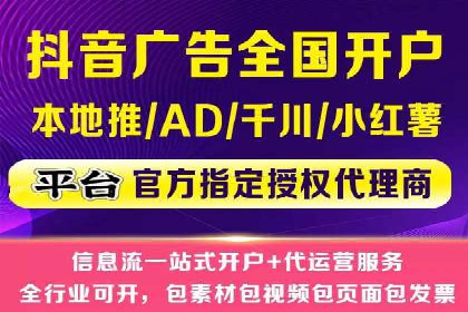 百度广告竞价与SEO结合的案例：某企业双管齐下的营销策略